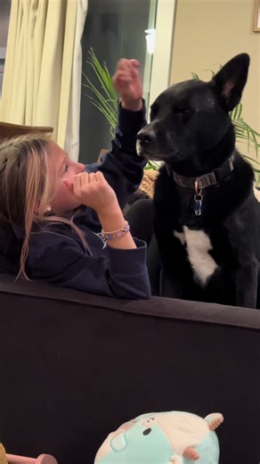 Shhh don't tell him #fyp | dog