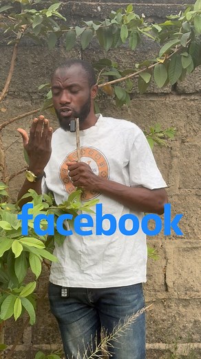 44K views · 1.4K reactions | This tea can clear your eye ️ from cataract and blurry vision #fblifestyle #viralreels #lifeexperience #post #post | Secrets Of Health TV | Facebook