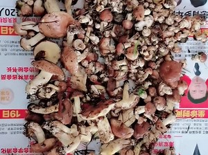 最新视频来袭，快来看看吧！