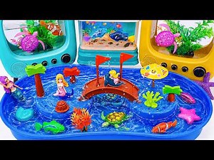 [toy asmr] ZURU Alive Big Aquarium & Robo Turtle Swimming | Review Toys ASMR