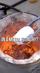 We were NOT expecting this... | The King of Random