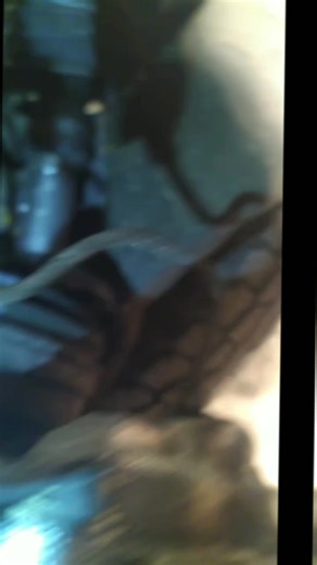 Toyota Repair Tips from a Mechanic