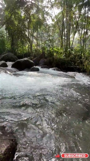 How to Fall Asleep in Seconds with Midnight River Flow Sounds #sleepmusic #nature #sunsetambience