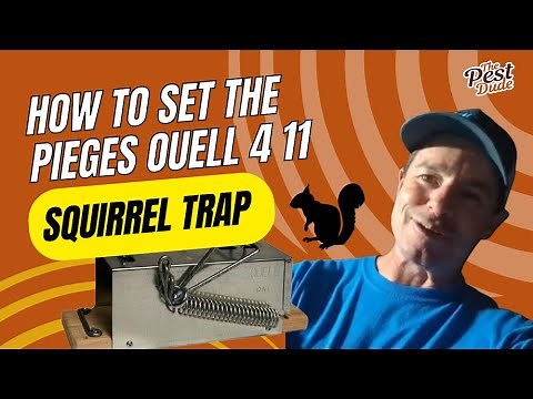How to set the Pieges Ouell 4 11 Squirrel Trap 🐿️ Mastering Squirrel Trapping with The Pest Dude