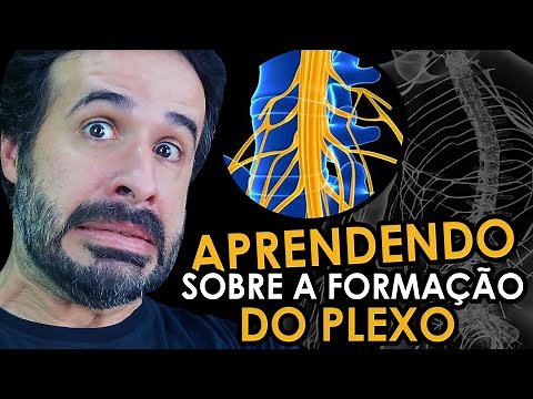 APRENDENDO SOBRE A FORMAÇÃO DO PLEXO?