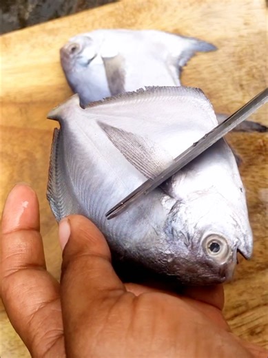Frying Fish and French Fries: A Perfect Combo Recipe