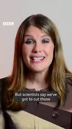 4.4K views · 29 reactions | How do we slow down fast fashion? BBC Scotland climate change reporter Harriet Bradshaw looks at sustainable style. | BBC Scotland News | Facebook