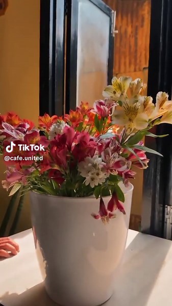 Cafe united a place where joy meets up with sip of coffee and with beauty of ambience. #coffee #cafe #restaurant