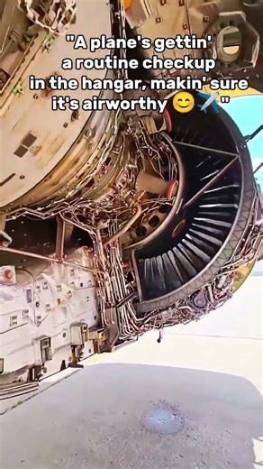Plane Check: Engine Inspection Before Takeoff#aviation#aviationsafety #usairplane