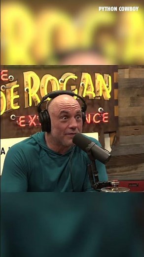 What Did Theo Von Say Otto My Python Dog