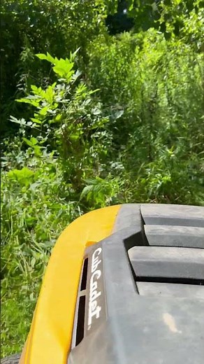 Cub Cadet LT50 vs Tall Weeds