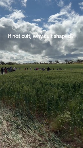 Midsommar Analysis: Florence Pugh's Powerful Scenes