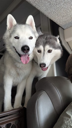 10K views · 899 reactions | We get asked all the time, "How do you...