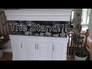 Beautiful Custom Aquarium Stand