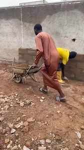 9.7K views · 216 reactions | Animalerie - Mali L’élevage nous permet d’être modeste par ce que en l’élevage y’a pas question de patron ou de boss tu dois mettre la main 駱 dans la pâte sinon rien va bouge God Bless la vie que nous avons choisies  | Animalerie-Mali | Facebook