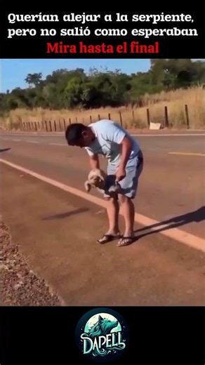 They tried to help the snake and this happened 😳 #animals #danger