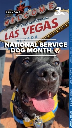 Las Vegas Welcome Sign glows blue and yellow for National Service Dog Month!