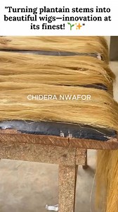 58K views · 2K reactions | Meet the Nigerian lady turning plantain stems into stunning wigs! ✨ This creative innovation is proof of the incredible talent coming out of Nigeria. Who knew the beauty of plantain could be transformed into something this unique? ️ Courtesy: @chideranwaforfilms @thenigerianexcellence Follow for more powerful stories and moments! #ASI #AfricanSoulInternational #Innovation | African Soul International | Facebook