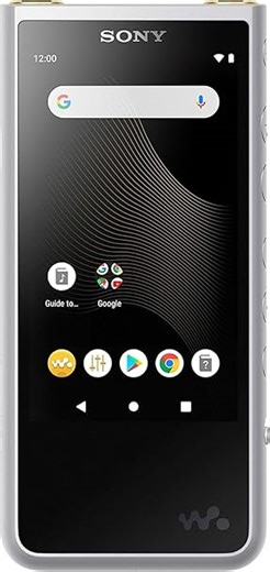 Sony NW-ZX507 Premium Hi-Res Walkman (64GB, 3.6" Touch Screen, Aluminium Body, NFC, Bluetooth 5.0, WLAN, Vinylprozessor) schwarz