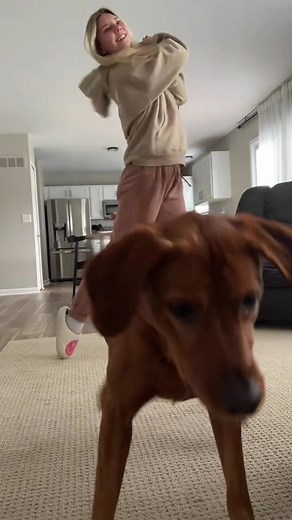 Hilarious Dog Dancing Moments That Will Make You Smile