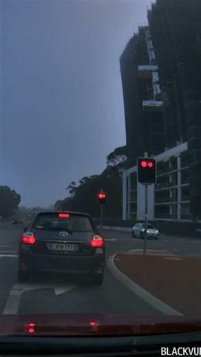 Looks like an honest mistake :Green circle in not green arrow. Red arrow means stop