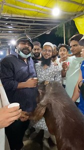 982K views · 10K reactions | Sevengers Ke Bakre珞 II #sevengers | SEVENGERS | Facebook