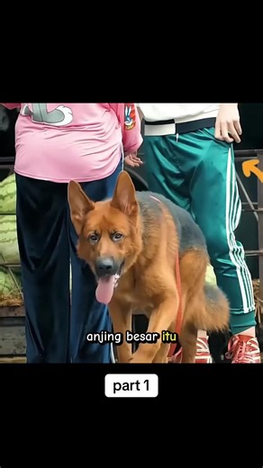 part 2 👉 @Clips.ID