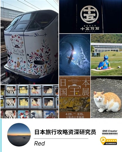 日本旅行攻略資深研究員｜“持ち出せる”日本旅ガイド✈️♨️ #小紅書 #日本旅行 #温泉 #交通 #宿選び #モデルプラン #AgentforNet