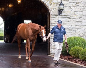 Justify Settling in at Ashford Stud