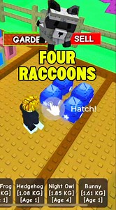 1.5M views · 9.2K reactions | 4 RACCOONS please 劣華#robloxgrowagarden #roblox #hayleykayla | Hayley & Kayla Llarena | Facebook