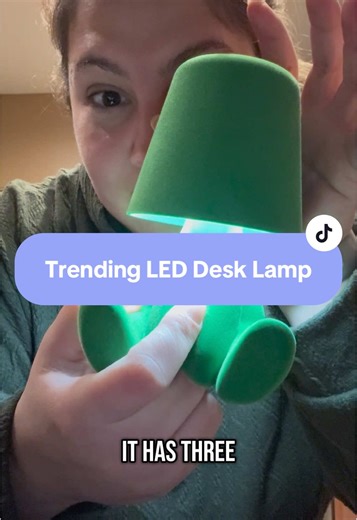 I love this lamp for my desk and I think this will be the perfect gift for anyone who works at a desk. #leddesklamp #desklamp #velvet #lamp #rechargeablelamp #giftguide #ttsdelightnow #tiktokshopjumpstartersale #seasonalgems #lovelanguage