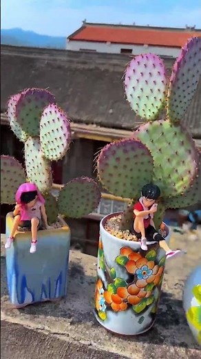 My Beautiful Cactus Collection | Rare & Unique Varieties