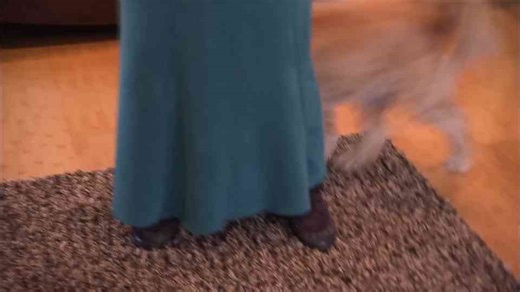 Too Dangerous for a Baby? l Dog Whisperer With Cesar Millan