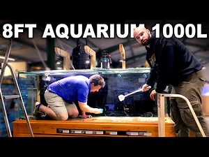 Building An 8FT Aquarium: 1000L South East Asian Tank [EP1]