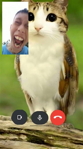 why do you keep caling me!!!!???bruuuh!!!????