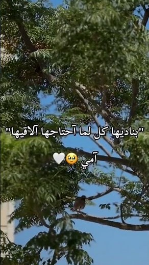 بناديها كل لما أحتاجها الاقيها #امي #الام #اغانى #عيد_الأم #اغاني #مصر #السعودية #العراق #اليمن