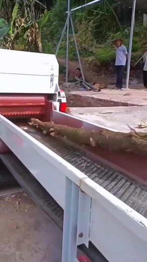 Wood Crusher for Efficient Wood Processing Equipment