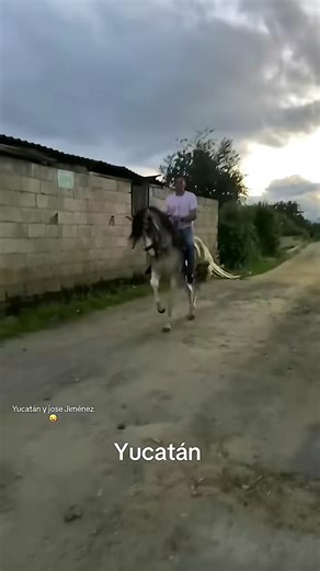 Videos de Jose Jimenez Fuentes (@josejimenezfuentes) con “sonido original - QueVivaLaMúsicaOficial”