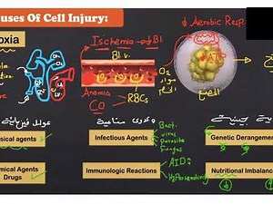 chapter 1 crash Course (CELL INJURYU)