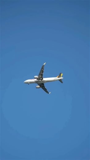 ✈️ വിമാനത്തിൽ fuel തീർന്നാൽ എന്ത് സംഭവിക്കും? | What Happens If a Plane Runs Out of Fuel?