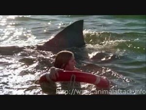 Movie Stills From Spring Break Shark Attack (2005)
