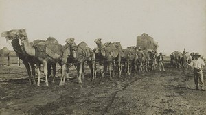 Cameleers from Afghanistan and other Middle Eastern countries helped build the railway from Port Augusta through Marree to Alice Springs. When it was opened in 1929 it was christened ‘The Ghan’ in their honour. #BackRoads #SouthAustralia | ABC North and West