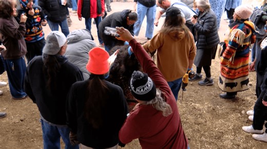 Native American MCPS students take part in traditional bison harvest