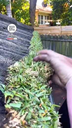 Giving gutters a grassy makeover 😍🪴 | Lessons Learned In Life