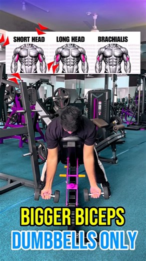 How to Build Bigger Biceps with ONLY Dumbbells (Full Workout) #biceps #workouttips