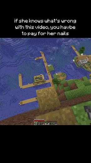 Identifying Issues in a Minecraft Video