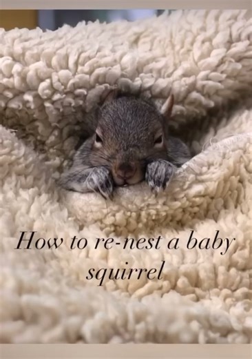 33K views · 1.2K reactions | Please share this tutorial on-what to do...