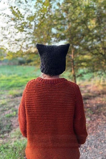 Knitted Cat Hat – Free Knitting Pattern