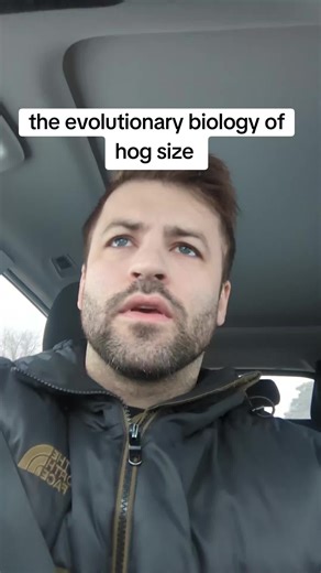 anecdotally, can't say I've noticed a huge difference in hog size by race having seen a lot in locker rooms during my days in sports and the Navy #hogtok #hogtalk #race #evolution #biology