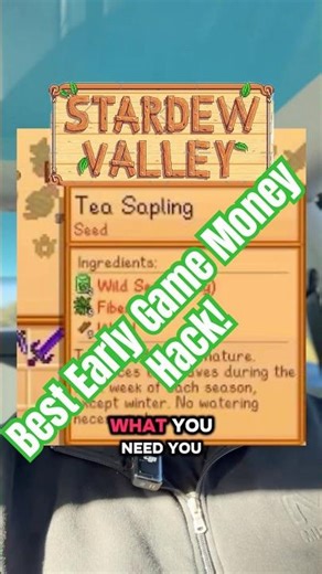 Stardew’s Secret 250g Money Hack 🍵💰